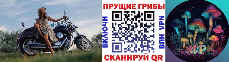 MEGA маркетплейс  Нижнекамск  Галлюциногенные грибы мицелий 
