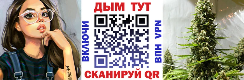 где продают наркотики Нижнекамск Шишки марихуана планчик